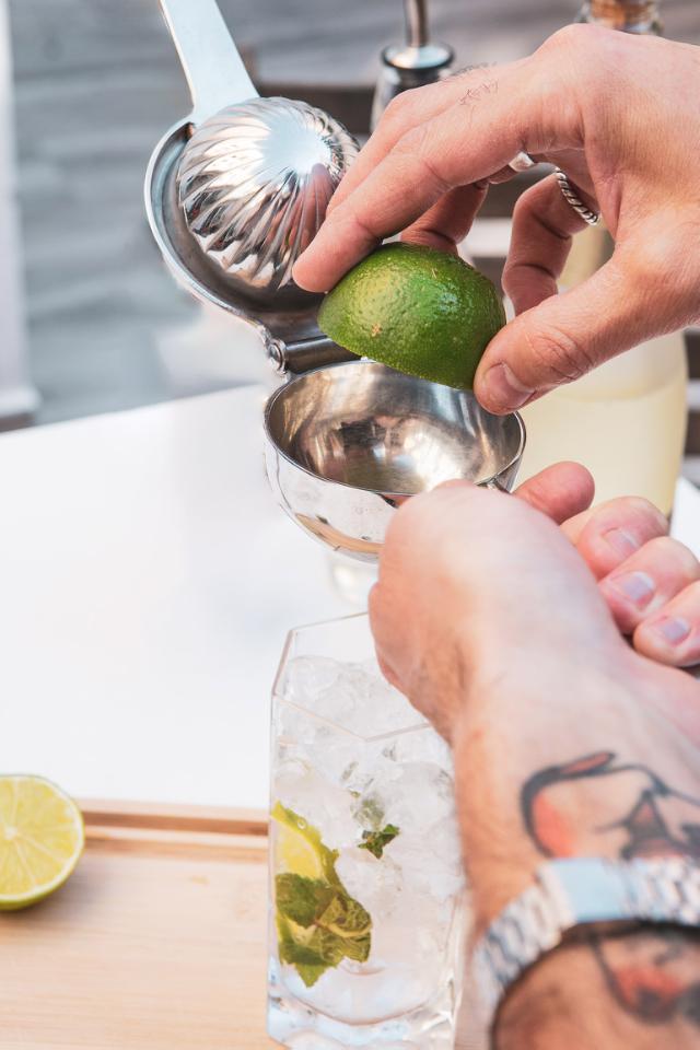 Citrus juicer