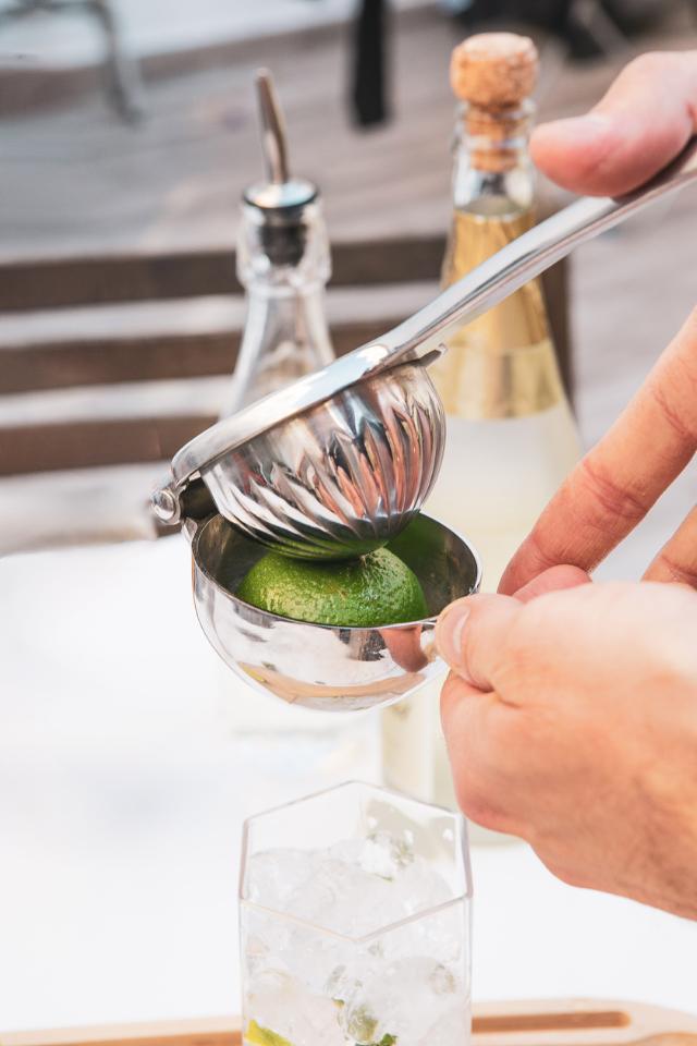 Citrus juicer